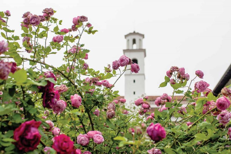 Na vrtu samostana se v vsej svoji lepoti razkazuje najpopolnejši in največji nasad vrtnic iz skupine burbonk na svetu. Ime vrtnic ni povezano s francoskimi kralji, pač pa so vrtnice poimenovali po otoku Ile de Bourbon (današni Réunionu) v Indijskem oceanu, kjer so jih v 19. stoletju vzgojili.